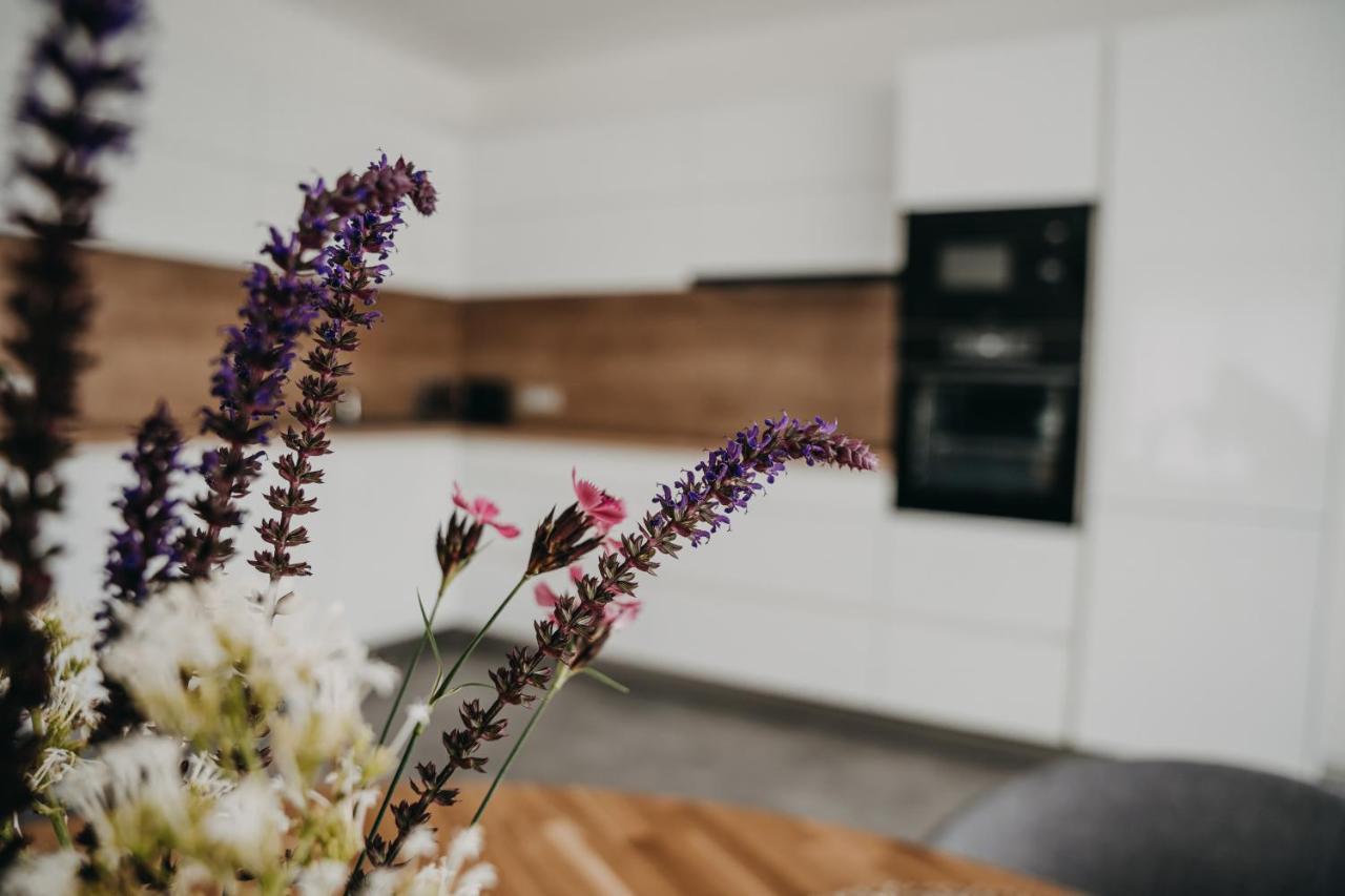 Apartman Usti Hranice  Zewnętrze zdjęcie